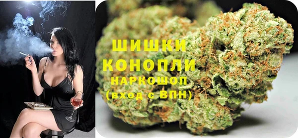 PSILOCYBIN Баксан