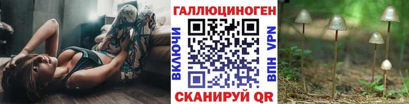 Галлюциногенные грибы Cubensis  Хотьково 